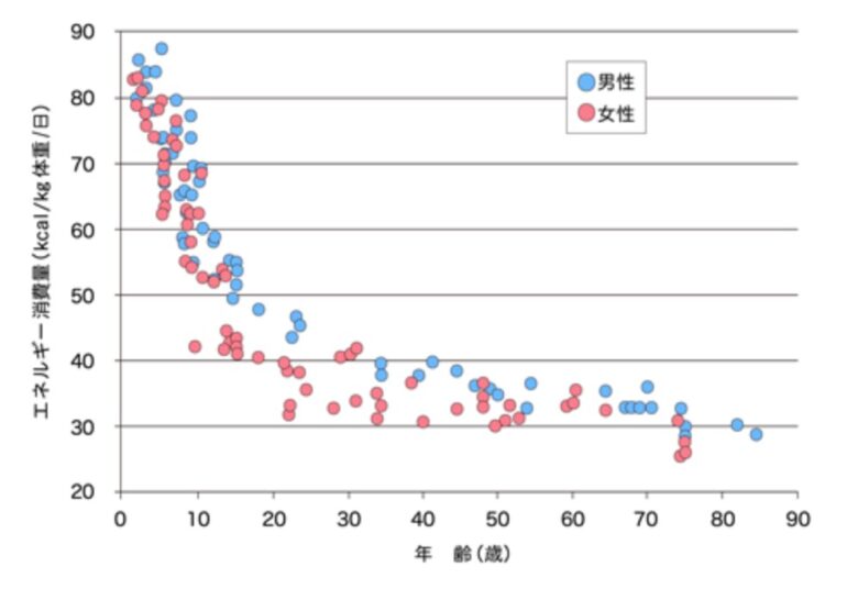 厚生労働省_年齢別エネルギー消費量